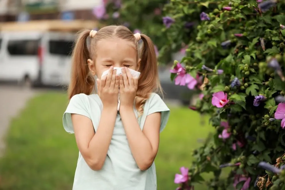 A young girl in pigtails covers her nose with a tissue while standing beside a flowering shrub.