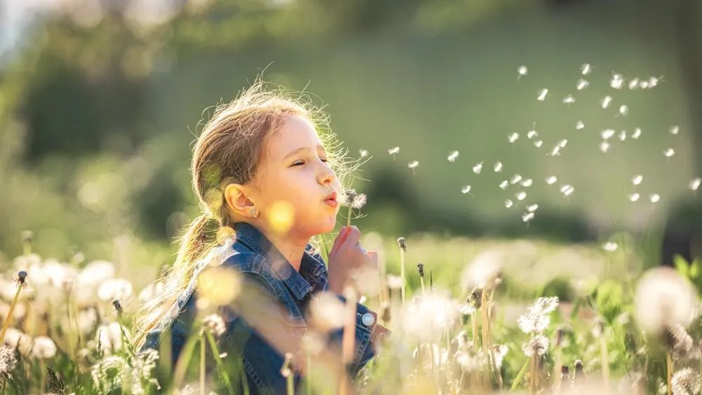A young girl kneels in a sunlit meadow, blowing the seeds from a dandelion.